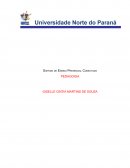 PLANO DE AÇÃO Discriminação e Preconceito no Espaço Escolar