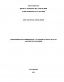 PLANO ESTRATÉGICO EMPRESARIAL E PLANO ESTRATÉGICO DE TI EM UMA REDE DE ACADEMIAS