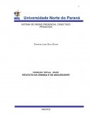 O ESTATUTO DA CRIANÇA E DO ADOLESCENTE