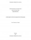 A EXECUÇÃO DO PNAT NO MUNICIPIO DE PIRAQUARA