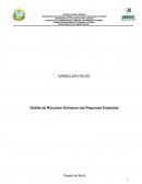 Gestão de Recursos Humanos nas Pequenas Empresas
