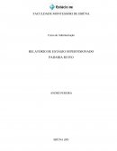 RELATÓRIO DE ESTÁGIO SUPERVISIONADO ADMINISTRAÇÃO DE EMPRESAS