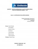 Relatório apresentado à disciplina de Química Analítica, do curso de Engenharia