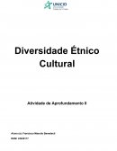 Diversidade Étnico Cultural
