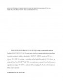 Ação de Cumprimento de Sentença Contra o Banco do Brasil - Expurgos Inflacionários