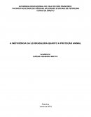 A INEFICIÊNCIA DA LEI BRASILEIRA QUANTO A PROTEÇÃO ANIMAL