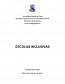 Educação Inclusiva e Diversidade Cultural