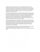 LIDERANÇA