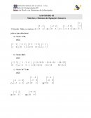 As Matrizes e Sistemas de Equações Lineares