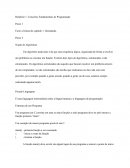Conceitos Fundamentais de Programação