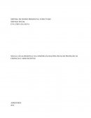 SOCIAL LOCAL/REGIONAL NA CONSTRUÇÃO DAS POLÍTICAS DE PROTEÇÃO ÀS CRIANÇAS E ADOLESCENTES