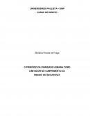 TCC Dignidade da Pessoa Humana no Cumprimento da Medida de segurança