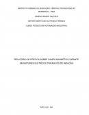 RELATÓRIO DE PRÁTICA SOBRE CAMPO MAGNÉTICO GIRANTE EM MOTORES ELÉTRICOS TRIFÁSICOS DE INDUÇÃO