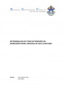 DETERMINAÇÃO DO TEOR DE PERÓXIDO DE HIDROGÊNIO NUMA AMOSTRA DE ÁGUA SANITÁRIA