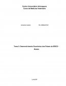 Desenvolvimento Econômico dos Países do BRICS ‒ Rússia