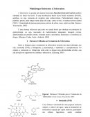 Multidrogas Resistentes á Tuberculose