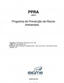 Programa de Prevenção de Riscos Ambientais