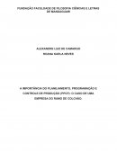 A IMPORTÂNCIA DO PLANEJAMENTO, PROGRAMAÇÃO E CONTROLE DE PRODUÇÃO (PPCP): O CASO DE UMA EMPRESA DO RAMO DE COLCHÃO