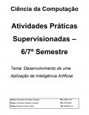 Desenvolvimento de uma Aplicação em Inteligência Artificial