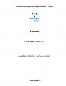 Relação entre corpo vegetal e meio ambiente