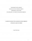 OS IMPACTOS NEGATIVOS CAUSADOS AO MEIO AMBIENTE ATRAVÉS DA AÇÃO DO HOMEM
