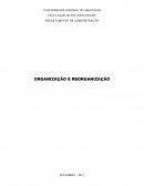 A ORGANIZAÇÃO E REORGANIZAÇÃO