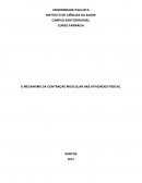 O mecanismo da contração muscular nas atividades físicas