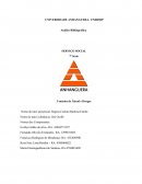 Analise bibliograficas