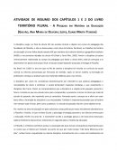 Resumo Livro Território Plural