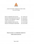 PSICOLOGIA E COMPORTAMENTO ORGANIZACIONAL