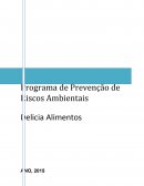 Programa de Prevenção de Riscos Ambientais