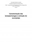 Caracterização das laranjas/mangas e extração do suco/polpa