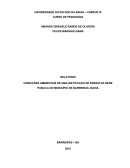 CONDIÇÕES AMBIENTAIS DE UMA INSTITUIÇÃO DE ENSINO DA REDE PÚBLICA DO MUNICÍPIO DE BARREIRAS- BAHIA