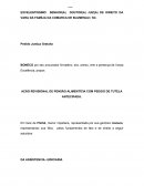 AÇÃO REVISIONAL DE PENSÃO ALIMENTÍCIA COM PEDIDO DE TUTELA ANTECIPADA