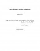 Praticas pedagogicas