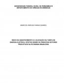 RISCO DE ABASTECIMENTO E ELEVAÇÃO DA TARIFA DE ENERGIA ELÉTRICA: EFEITOS SOBRE OS PRINCIPAIS SETORES PRODUTIVOS DA ECONOMIA BRASILEIRA.