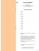 OS CONCEITOS E PRINCÍPIOS GERAIS DE CÁLCULO NUMÉRICO