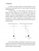 RELATÓRIO EXPERIMENTAL PÊNDULO SIMPLES