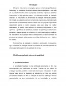 Instrumentos Empregados Para a Melhoria da Qualidade das Instituições