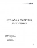 INTELIGENCIA COMPETITIVA