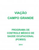 PROGRAMA DE CONTROLE MÉDICO DE SAÚDE OCUPACIONAL (PCMSO)