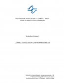 Análise Geoprocessamento Formosa