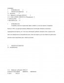 TRABALHO PRIMEIRO SEMESTRE