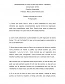 Trabalho Individual Sobre o Filme “A Negociação”