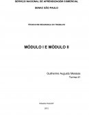 Modulo 1 e 2 Segurança do Trabalho