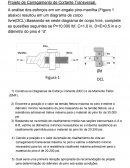 Projeto de Carregamento de Cortante Transversal.