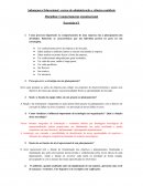 Comportamento Organizacional Contabilidade