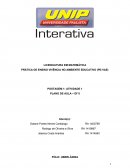 PRÁTICA DE ENSINO VIVÊNCIA NO AMBIENTE EDUCATIVO (PE:VAE)