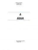 Agua importancia para a terra