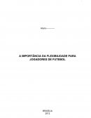 A IMPORTÂNCIA DA FLEXIBILIDADE PARA JOGADORES DE FUTEBOL